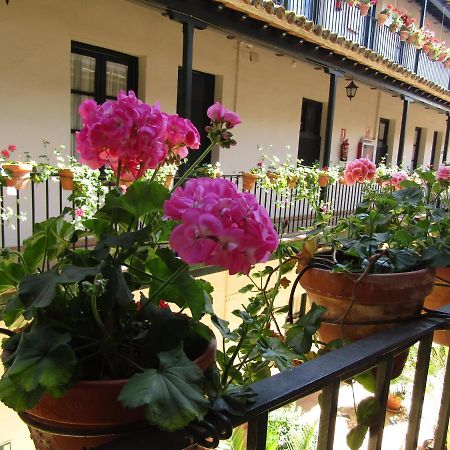 Apartamento Alameda Appartement Sevilla Buitenkant foto